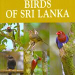 A Naturalist's Guide to Birds of Sri Lanka