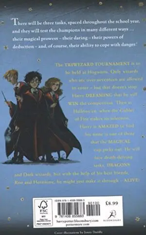 Harry Potter And The Goblet Of Fire 2
